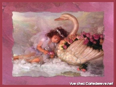 Bonne nuit les ami(e)s